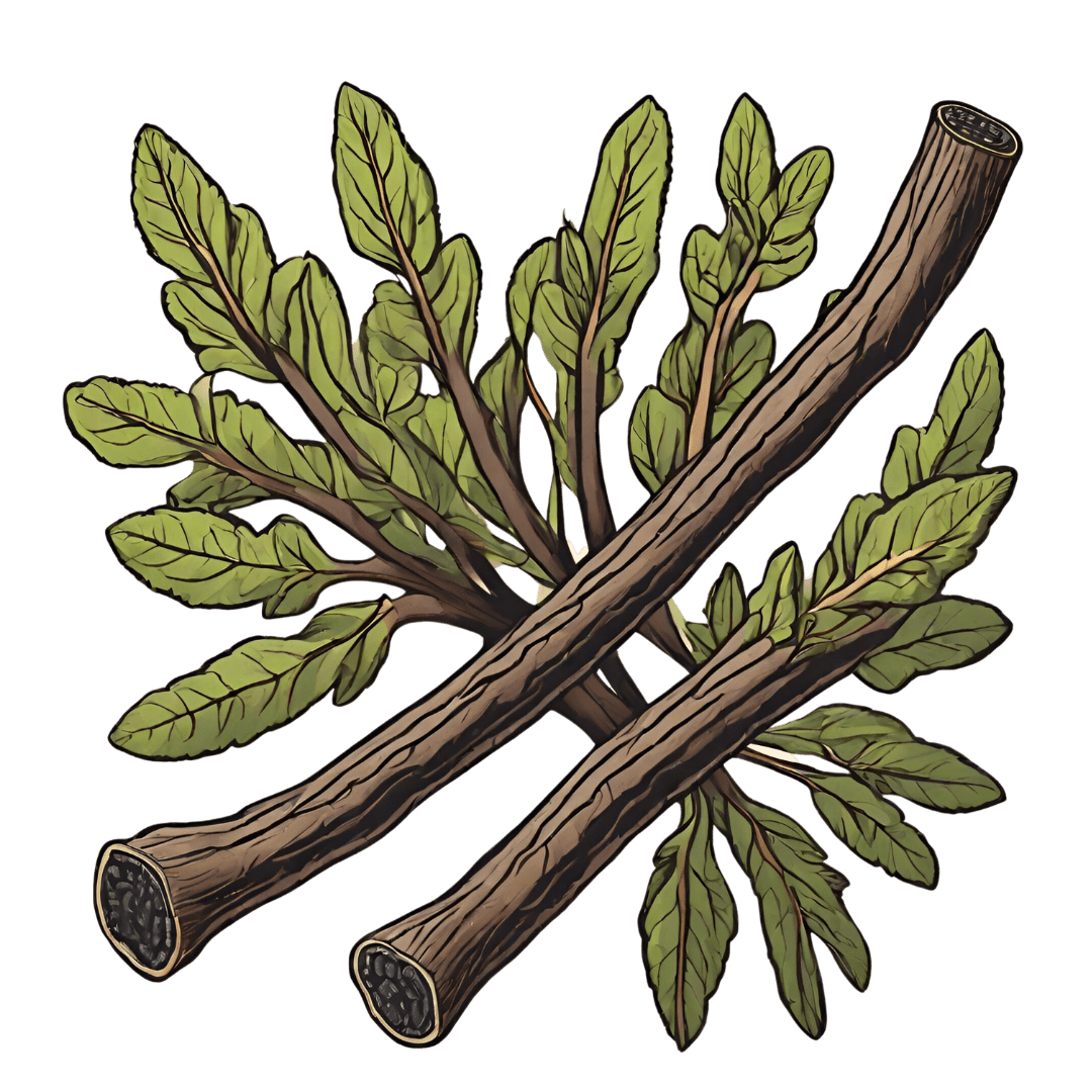 Green Studio Ayurveda Ingredient - Licorice